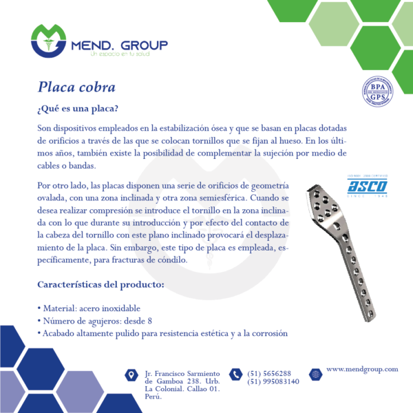 Ficha tecnica placa cobra